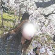 ヒメ日記 2026/04/23 13:52 投稿 さゆり☆ 豊橋豊川ちゃんこ