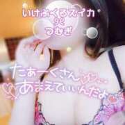 ヒメ日記 2025/01/06 14:01 投稿 つむぎ スイカ