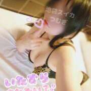 ヒメ日記 2025/01/14 09:30 投稿 つむぎ スイカ