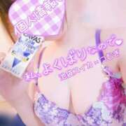 ヒメ日記 2025/02/08 12:30 投稿 つむぎ スイカ