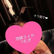 ヒメ日記 2025/10/17 12:16 投稿 つむぎ スイカ