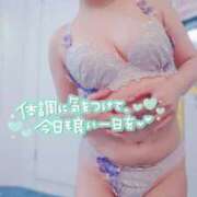 ヒメ日記 2025/10/23 09:02 投稿 つむぎ スイカ