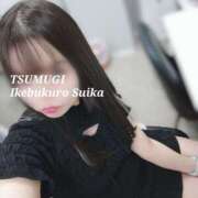 ヒメ日記 2025/10/24 08:30 投稿 つむぎ スイカ