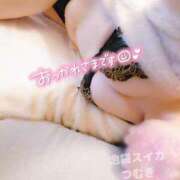 ヒメ日記 2025/11/04 18:04 投稿 つむぎ スイカ