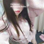 ヒメ日記 2025/11/27 12:27 投稿 つむぎ スイカ