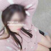 ヒメ日記 2025/12/02 12:11 投稿 つむぎ スイカ