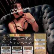 ヒメ日記 2025/12/03 17:02 投稿 つむぎ スイカ