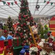 ヒメ日記 2024/12/21 19:06 投稿 しおり マダムレア