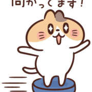 ヒメ日記 2025/03/15 11:41 投稿 ゆみ 奥鉄オクテツ大阪