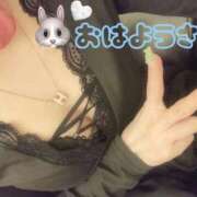 ヒメ日記 2025/10/02 07:56 投稿 りあむ 変態なんでも鑑定団