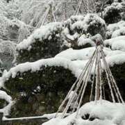 ヒメ日記 2024/12/17 15:27 投稿 ジュリア 神戸デリヘルRouge～ルージュ