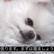 ヒメ日記 2025/05/31 08:03 投稿 ジュリア 神戸デリヘルRouge～ルージュ