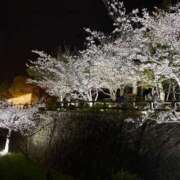 ヒメ日記 2026/04/14 20:09 投稿 はな 神戸デリヘルRouge～ルージュ