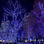 ヒメ日記 2024/12/20 19:59 投稿 ミルク 横浜ハッピーマットパラダイス