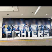 ヒメ日記 2025/06/17 00:53 投稿 ミルク 横浜ハッピーマットパラダイス