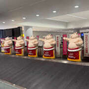 ミルク in名古屋 横浜ハッピーマットパラダイス