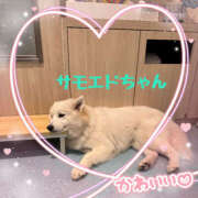 ヒメ日記 2025/12/15 11:23 投稿 ミルク 横浜ハッピーマットパラダイス