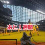 ヒメ日記 2026/02/14 10:23 投稿 ミルク 横浜ハッピーマットパラダイス