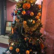 ヒメ日記 2025/10/04 14:06 投稿 一花（いちか） マダムロゼ