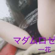 ヒメ日記 2025/11/25 18:30 投稿 一花（いちか） マダムロゼ