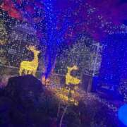 一花（いちか） イルミネーション? マダムロゼ