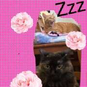 ヒメ日記 2025/12/09 22:15 投稿 一花（いちか） マダムロゼ