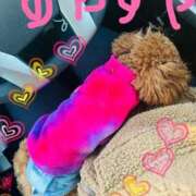 ヒメ日記 2025/12/12 17:34 投稿 一花（いちか） マダムロゼ