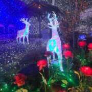 ヒメ日記 2025/12/13 10:52 投稿 一花（いちか） マダムロゼ