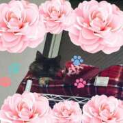 一花（いちか） [お題]from:焼肉！さん マダムロゼ