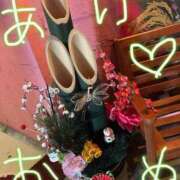 ヒメ日記 2026/01/06 16:48 投稿 一花（いちか） マダムロゼ