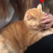 ヒメ日記 2026/03/07 19:40 投稿 一花（いちか） マダムロゼ