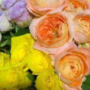 ヒメ日記 2025/11/23 11:36 投稿 今日子（きょうこ） マダムロゼ