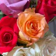 ヒメ日記 2025/11/24 13:12 投稿 今日子（きょうこ） マダムロゼ