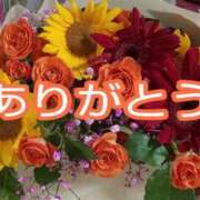 今日子（きょうこ） いつもありがとう? マダムロゼ