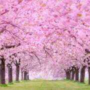 ヒメ日記 2026/02/02 22:30 投稿 今日子（きょうこ） マダムロゼ