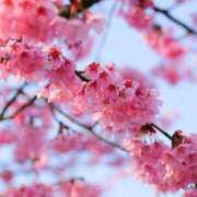 ヒメ日記 2026/02/02 22:40 投稿 今日子（きょうこ） マダムロゼ