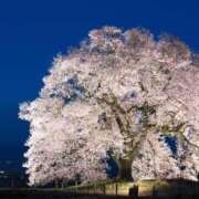 ヒメ日記 2026/02/05 03:10 投稿 今日子（きょうこ） マダムロゼ