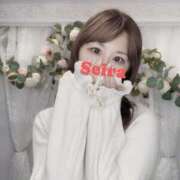 ヒメ日記 2025/01/22 16:40 投稿 せいら 東京デザインリング錦糸町店