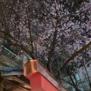 ヒメ日記 2025/03/28 20:34 投稿 らんこ 熟女の風俗最終章 仙台店