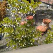 ヒメ日記 2025/05/11 06:24 投稿 らんこ 熟女の風俗最終章 仙台店