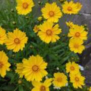 ヒメ日記 2025/06/09 21:24 投稿 らんこ 熟女の風俗最終章 仙台店