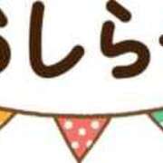 ヒメ日記 2025/09/20 10:16 投稿 こよみ 即プレイ専門店 性の極み