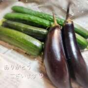 ヒメ日記 2025/06/25 21:14 投稿 優樹菜(ゆきな) MOZAIC（モザイク）