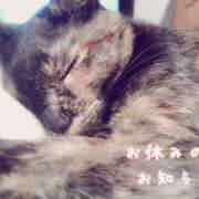 ヒメ日記 2026/05/17 22:32 投稿 優樹菜(ゆきな) MOZAIC（モザイク）
