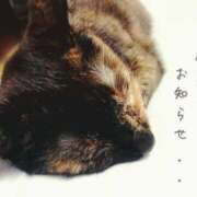 ヒメ日記 2026/06/28 23:36 投稿 優樹菜(ゆきな) MOZAIC（モザイク）
