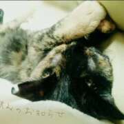 ヒメ日記 2026/08/06 13:56 投稿 優樹菜(ゆきな) MOZAIC（モザイク）