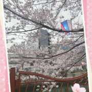 ヒメ日記 2025/04/07 21:36 投稿 めい 多恋人