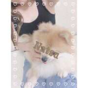 ヒメ日記 2025/03/31 13:29 投稿 黒崎　なつ 人妻の秘密