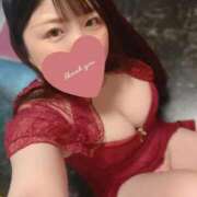 ヒメ日記 2025/10/10 15:43 投稿 天華 男爵