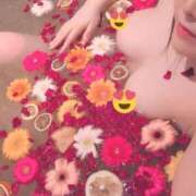 ヒメ日記 2025/10/15 14:13 投稿 天華 男爵